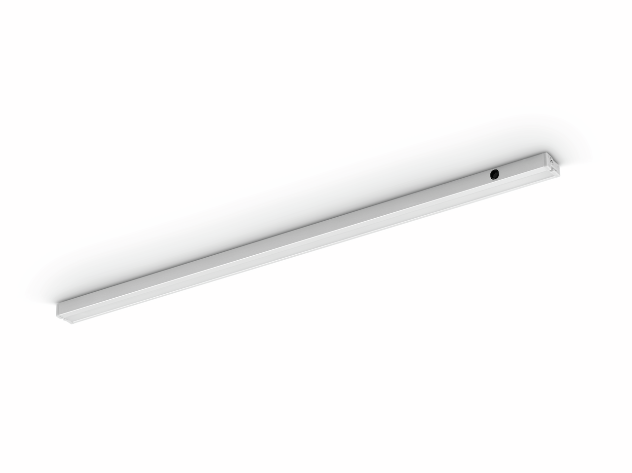 Dentro LED, L 1000 mm, 13,4 W, roestvrij staalkleurig